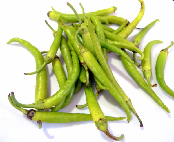 Pimiento de ibarra (guindilla de ibarra)